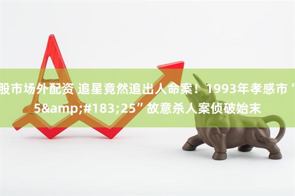 股市场外配资 追星竟然追出人命案！1993年孝感市“5&#183;25”故意杀人案侦破始末